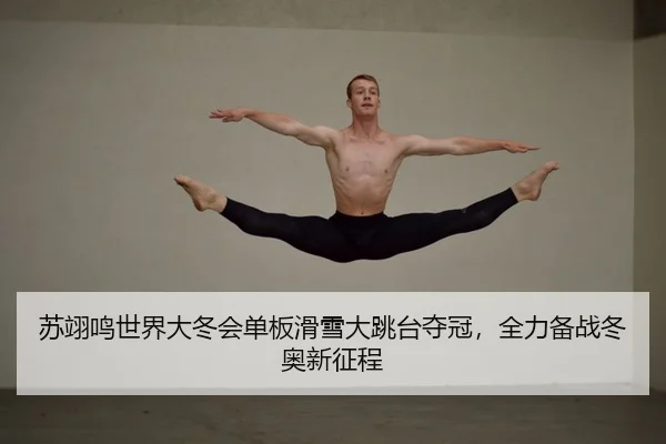 su-yi-ming-shi-jie-da-dong-hui-dan-ban-hua-xue-da-tiao-tai-duo-guan-quan-li-bei-zhan-dong-ao-xin-zheng-cheng-2-687.jpg